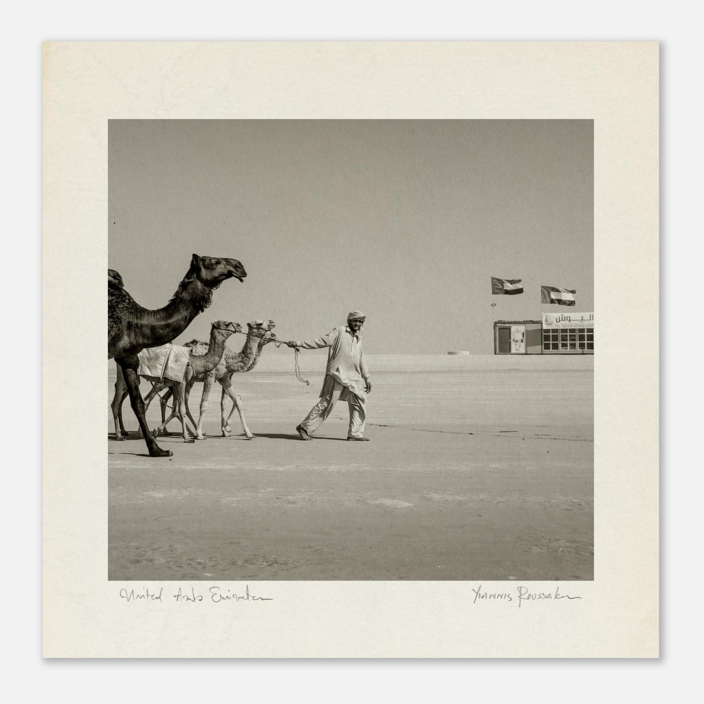 3320d7f3-ba6f-44b1-8dbf-111745d24a35