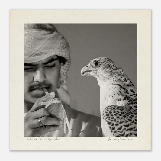 3682c97b-f090-4b31-a8f8-3b3d4a6feaed