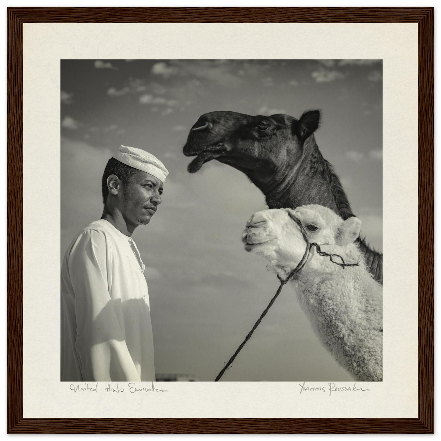 5259576e-603c-42d1-a94d-69295cf7913e