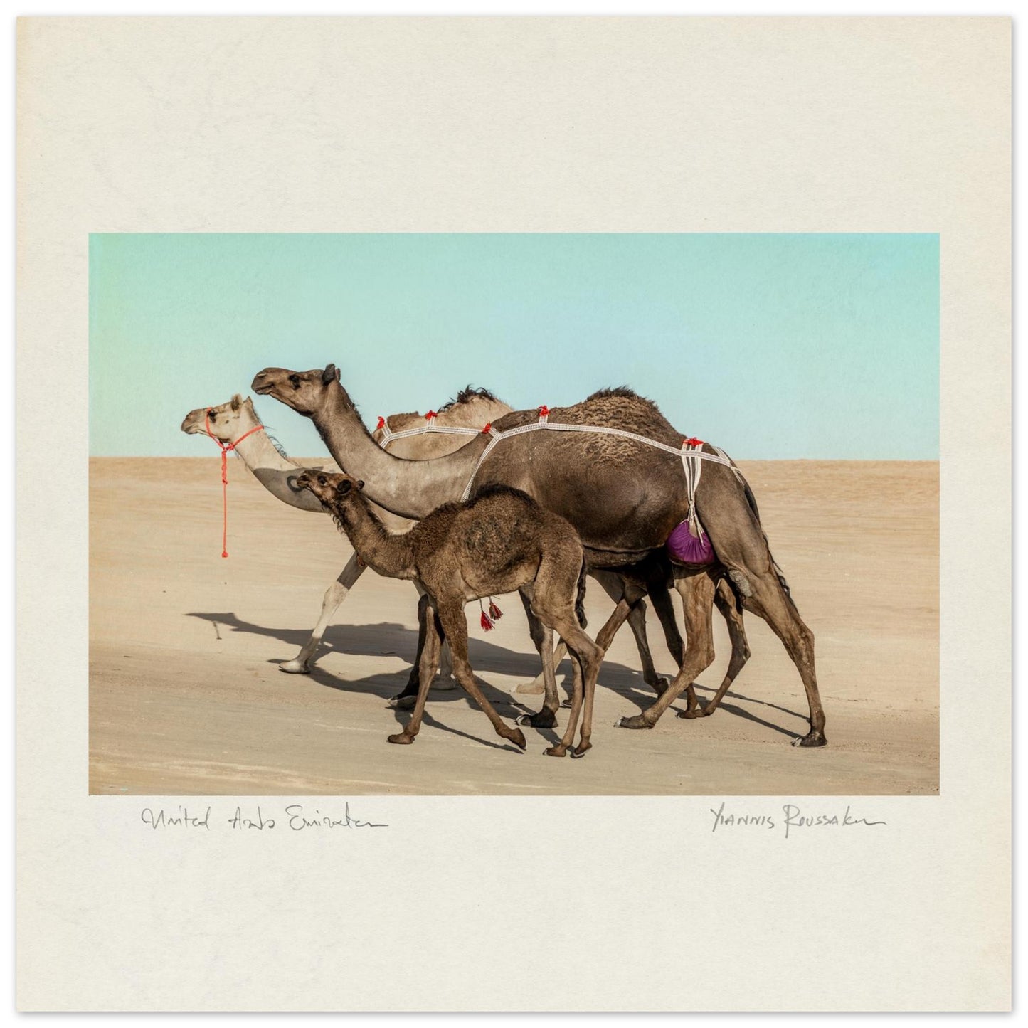 72fd68ef-9a7a-466a-b860-fdb61826dccd