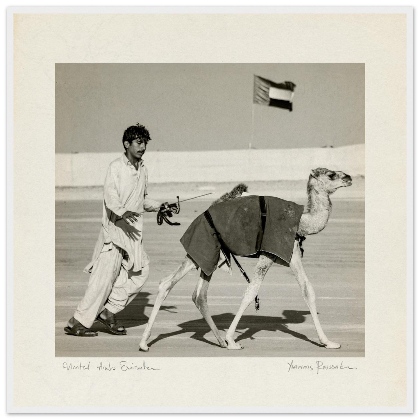 00bc1e1e-30c5-41fa-ad09-42b7ffb33247