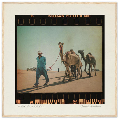 019d31f5-d439-421b-8252-f141c68d5226