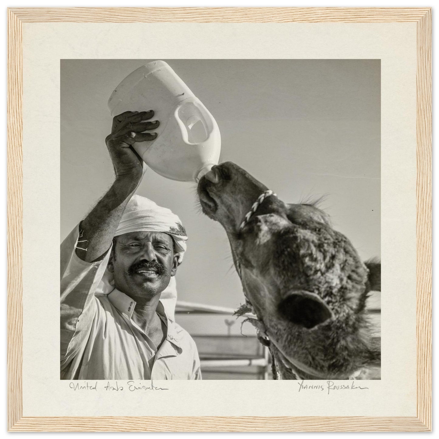 026cfce8-5d0b-471e-86cb-dfd16285ed3c