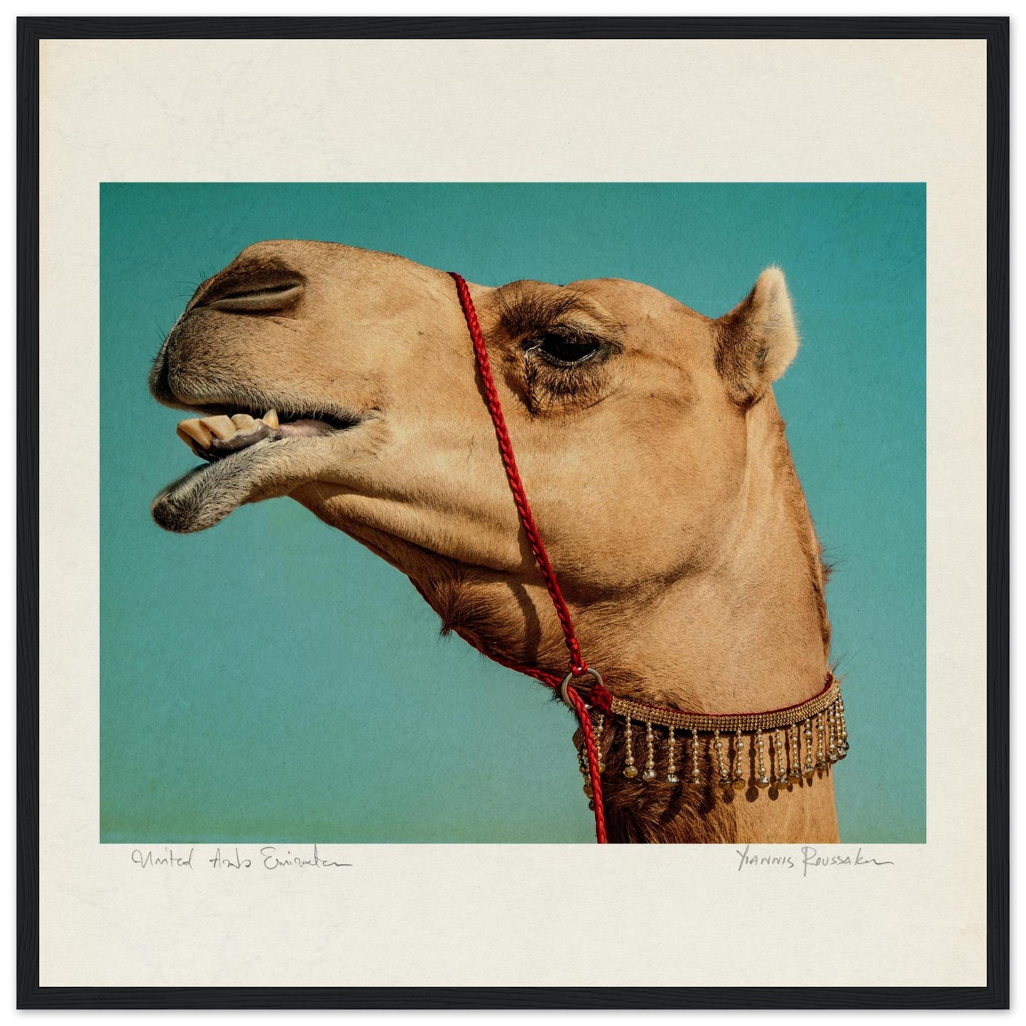 0380b385-2c1a-4696-881a-5c983a69b593