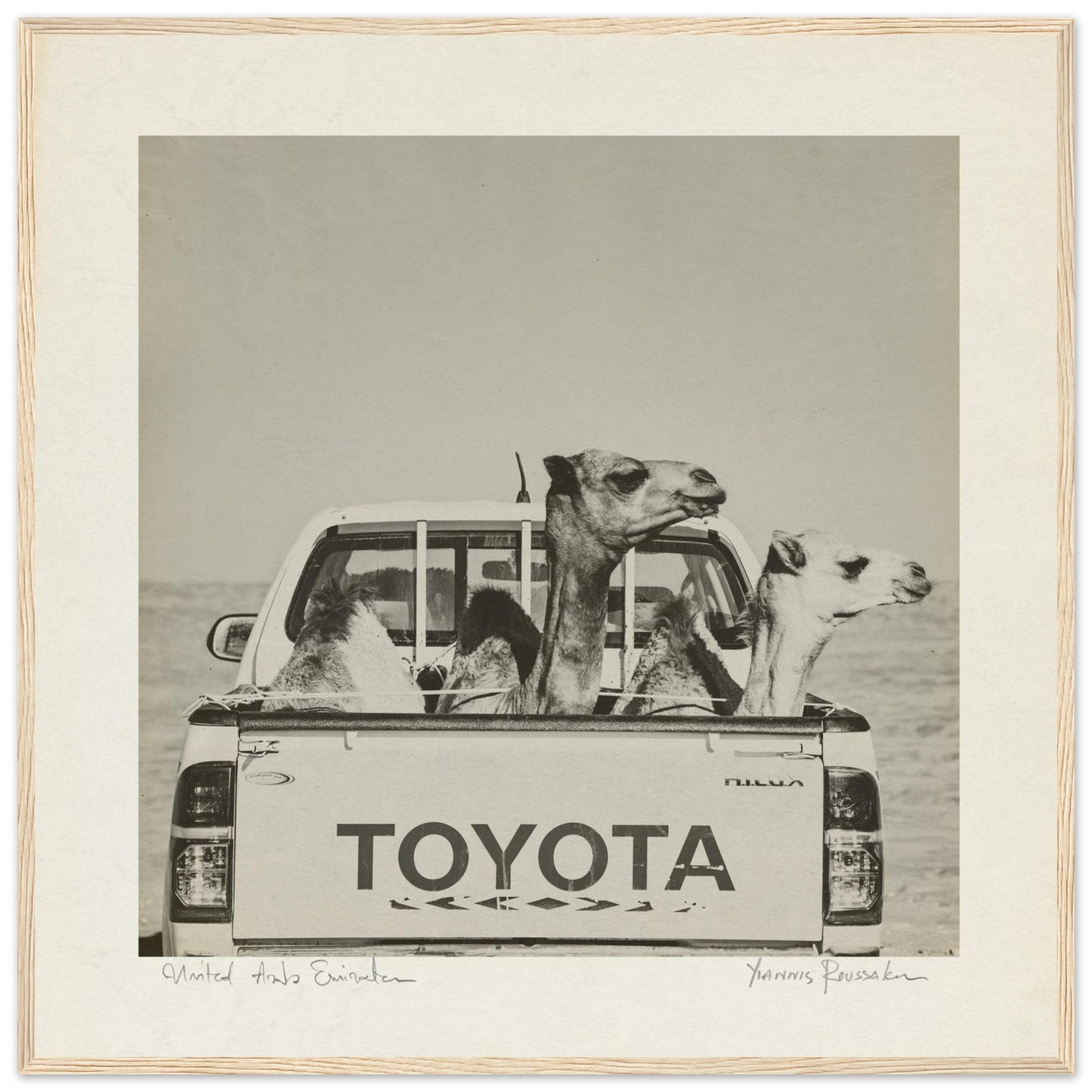 045c2fd3-78f5-4732-91ee-6af9be929a51