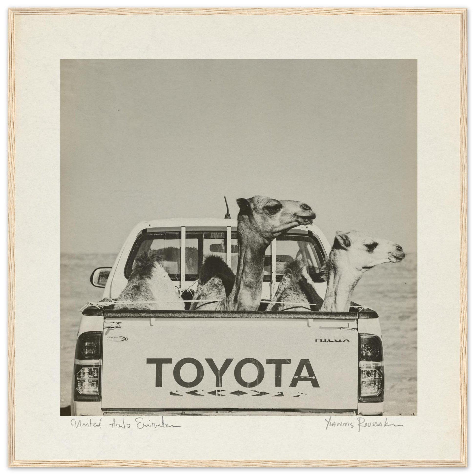 045c2fd3-78f5-4732-91ee-6af9be929a51