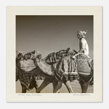 057327b1-125b-475b-aa48-c9e541604684