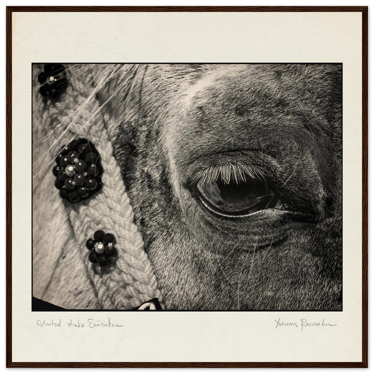 08207aec-b3c6-4bf0-867f-3c2fffc0bf0e