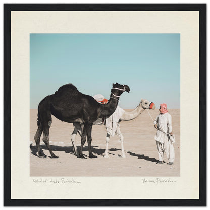 0929010f-00de-4280-bf85-a314b2269b1f