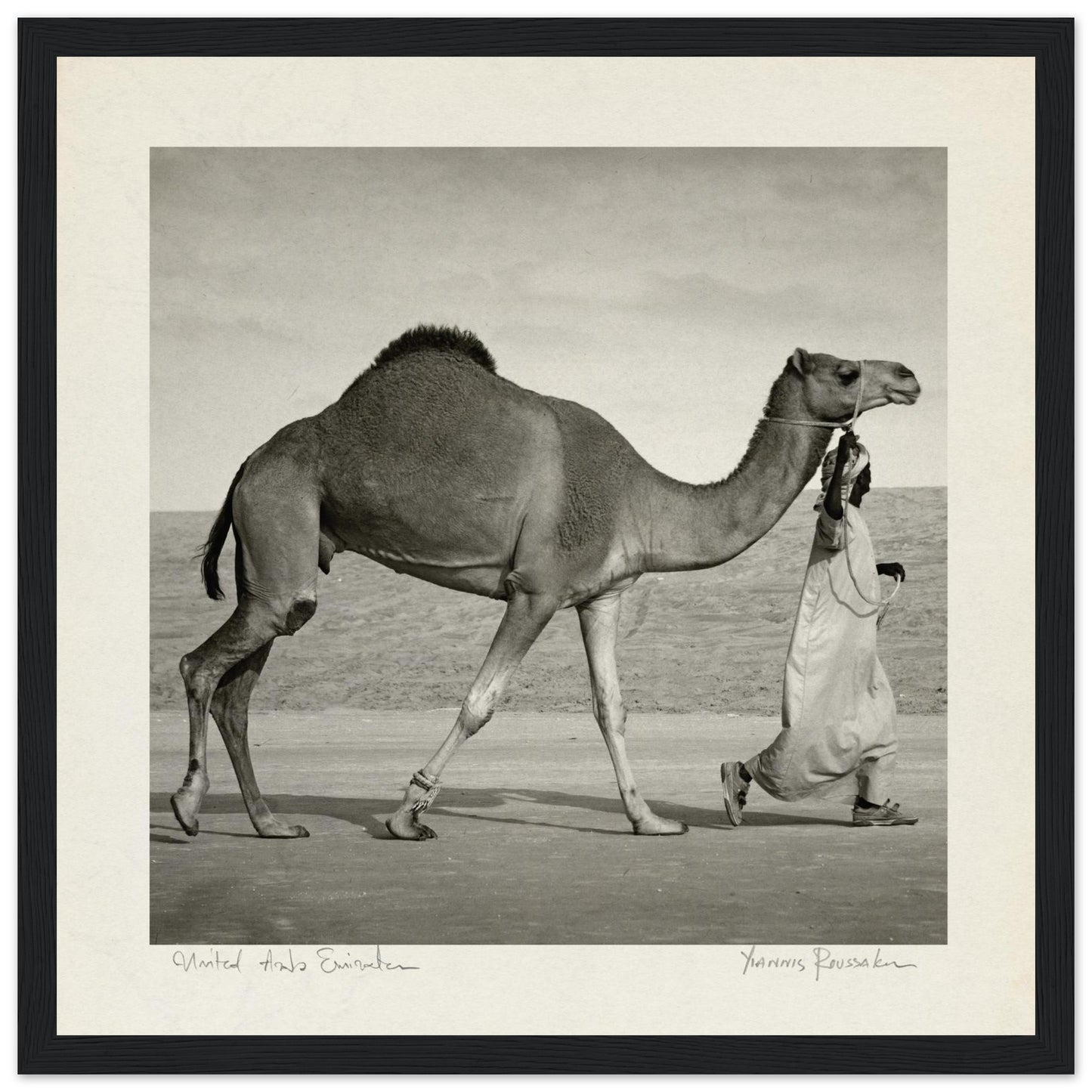 0a0bf917-7e65-4700-9b6e-1c842be231c3