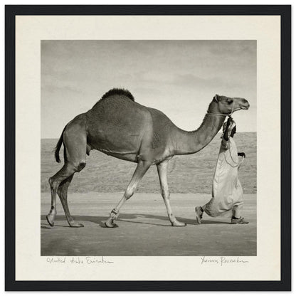 0a0bf917-7e65-4700-9b6e-1c842be231c3