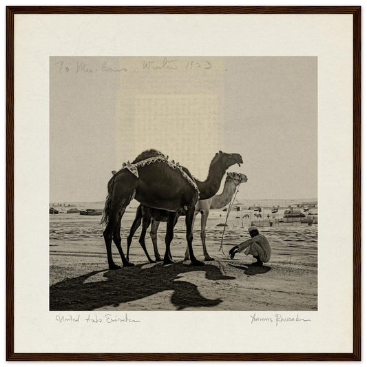 0b7ecb05-620f-4173-a2cd-0ed6654efb9a