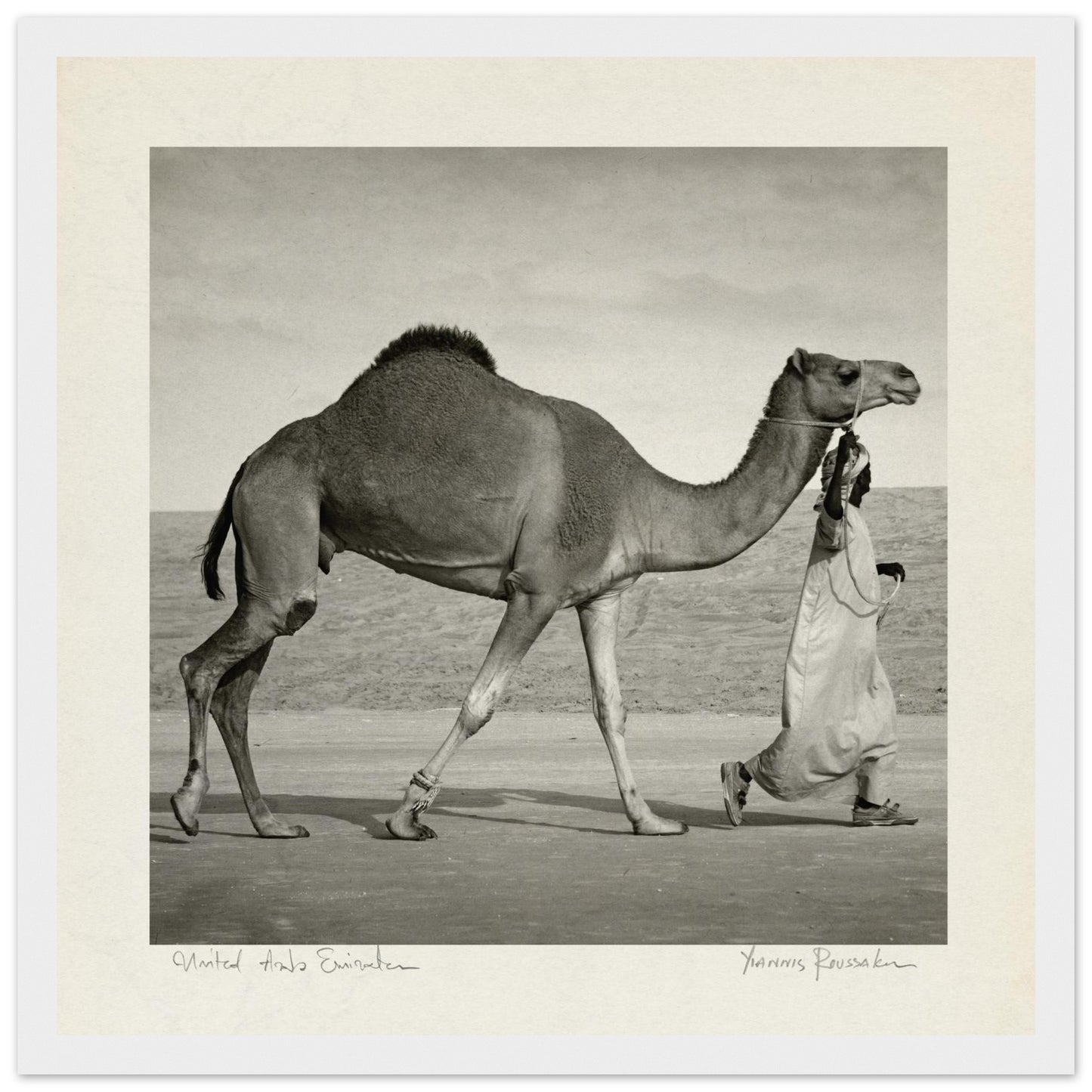 0bedede7-4207-4125-9089-e322efe90a0a