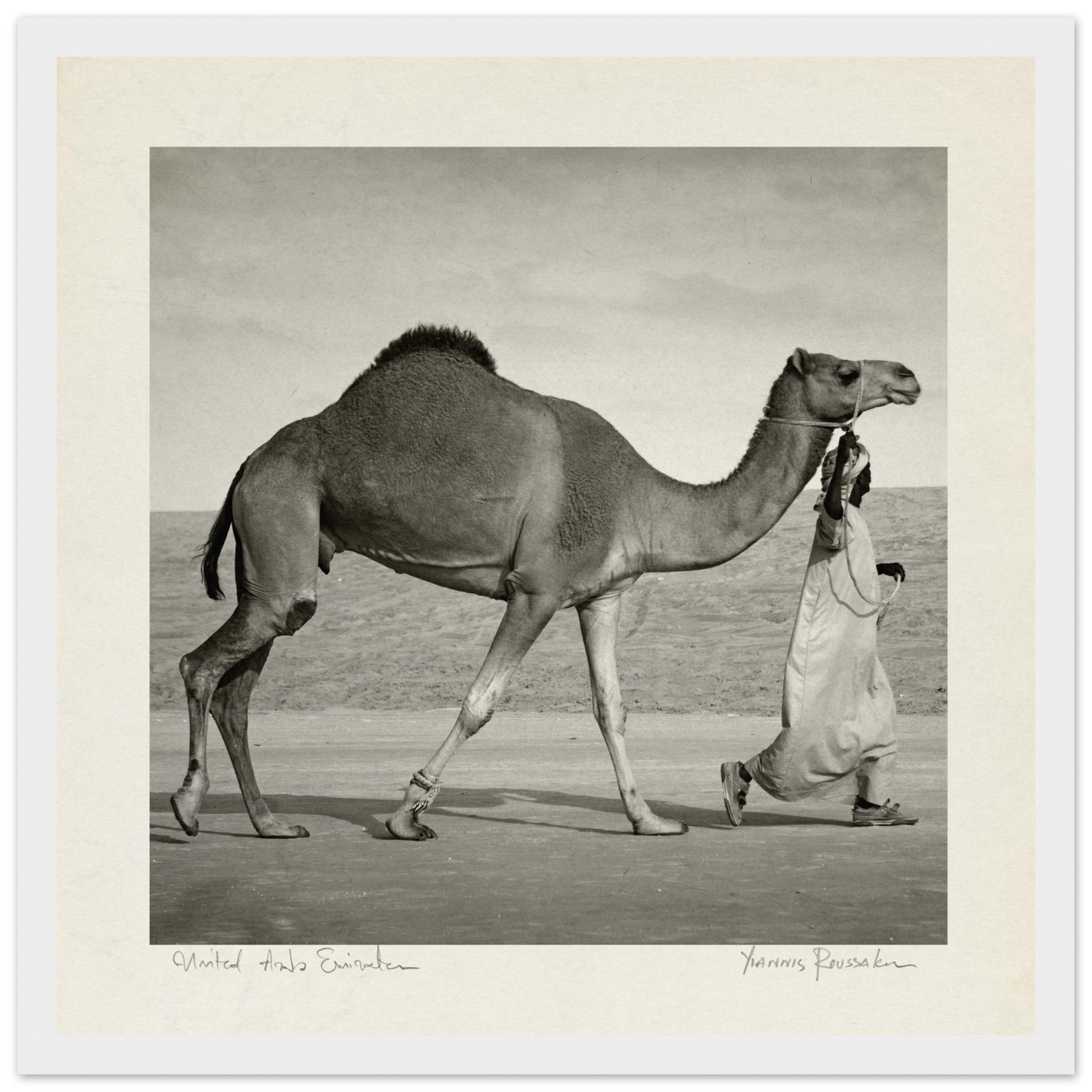 0bedede7-4207-4125-9089-e322efe90a0a