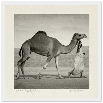 0bedede7-4207-4125-9089-e322efe90a0a