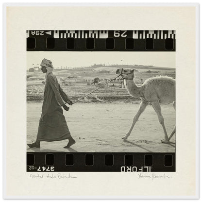 0d8708e2-8479-469f-b184-54cc4ae92b3b