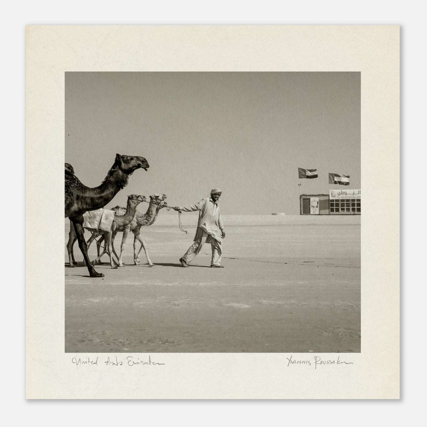 0dfe3419-4310-40bb-8f37-0e3218cd2a6c