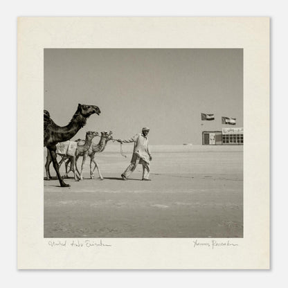 0dfe3419-4310-40bb-8f37-0e3218cd2a6c