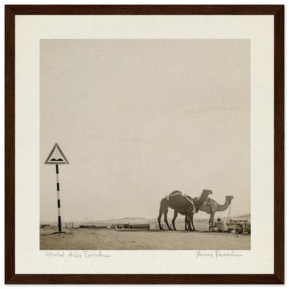 0e80810c-e295-44ad-a38d-e22783176c33