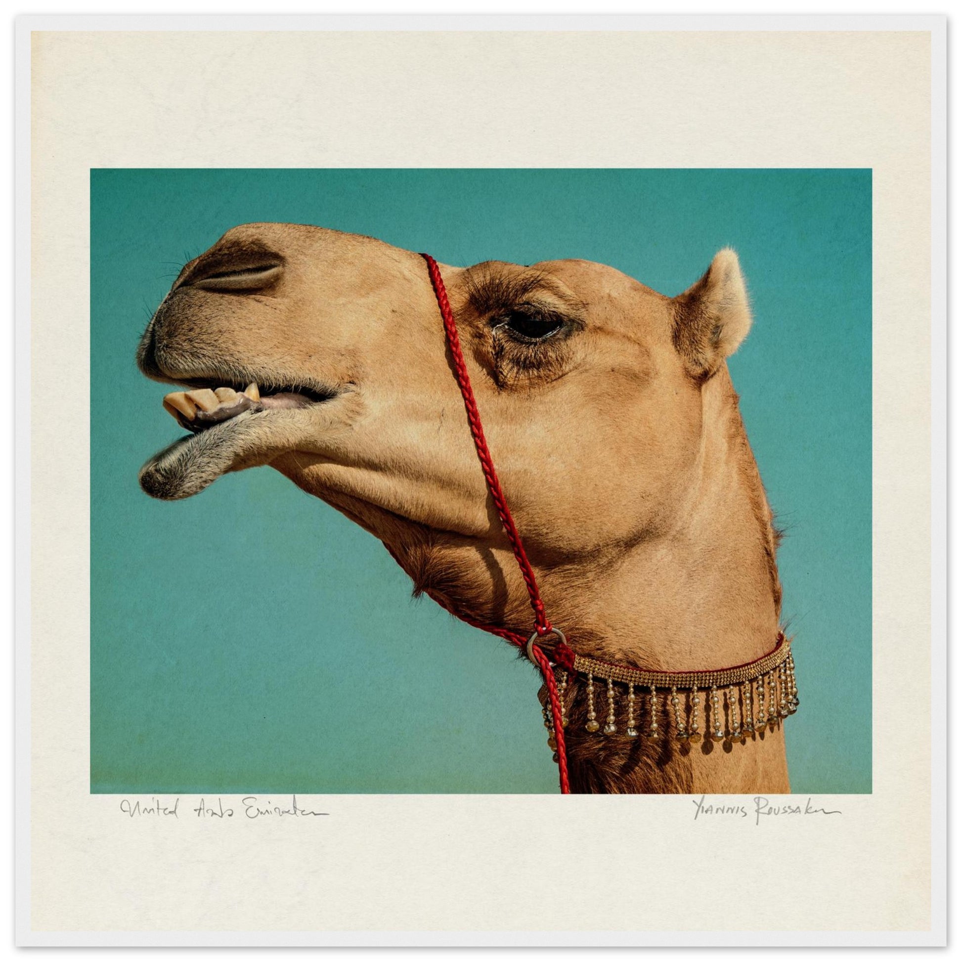 0e831cbb-59df-4cc2-9ef8-af542e88a517