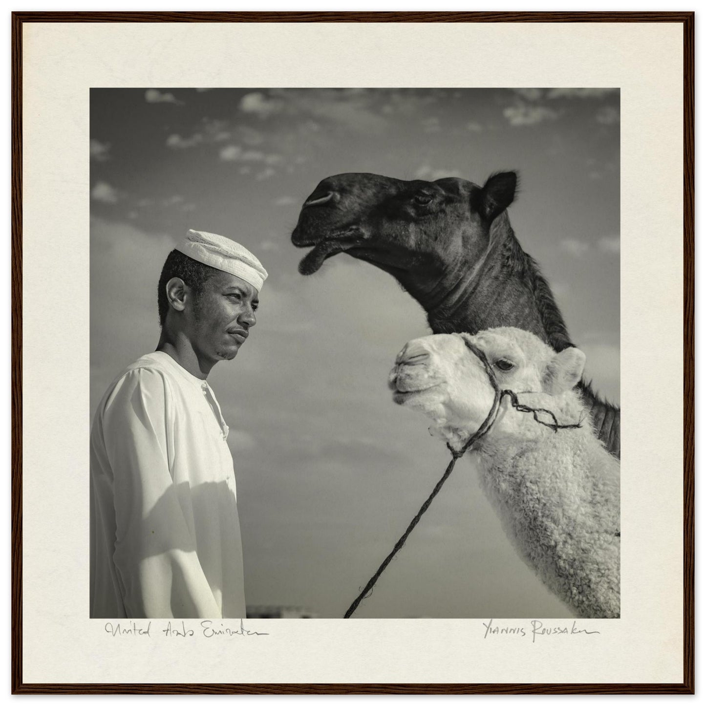 0fae6190-0bf5-47a6-ade3-003438dd51f0