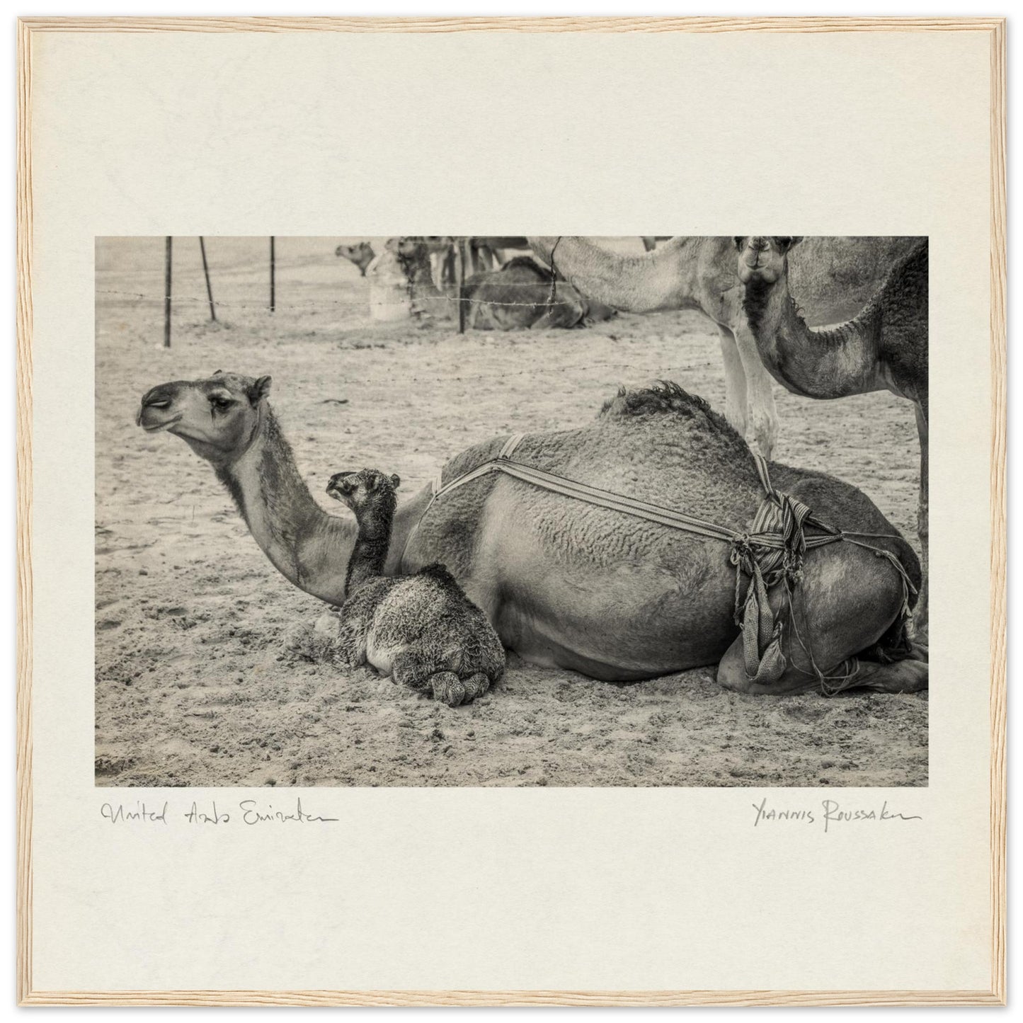 1053699b-3d92-41a0-b1c8-1536e129ffed