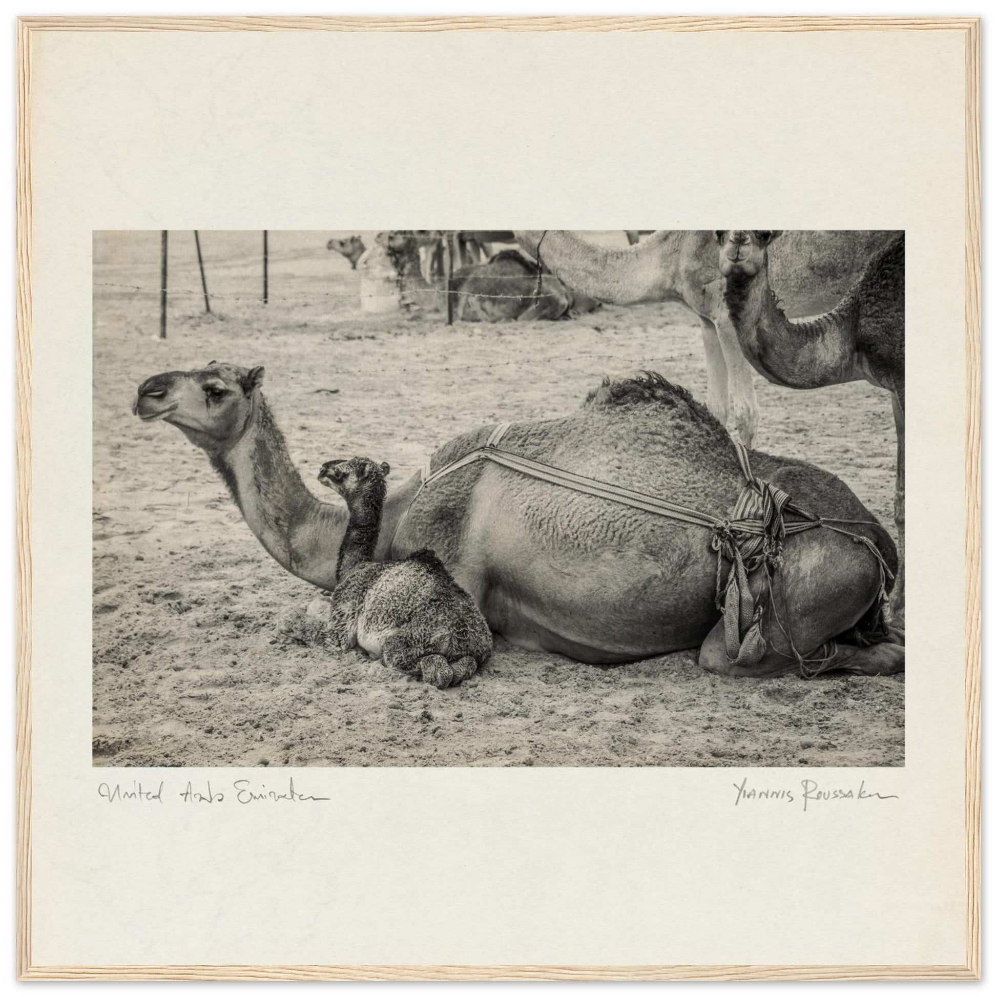 1053699b-3d92-41a0-b1c8-1536e129ffed