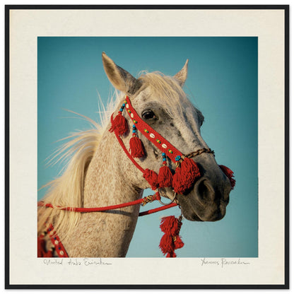 1137eef2-fee2-40eb-8ebc-dc50cffdb7d4