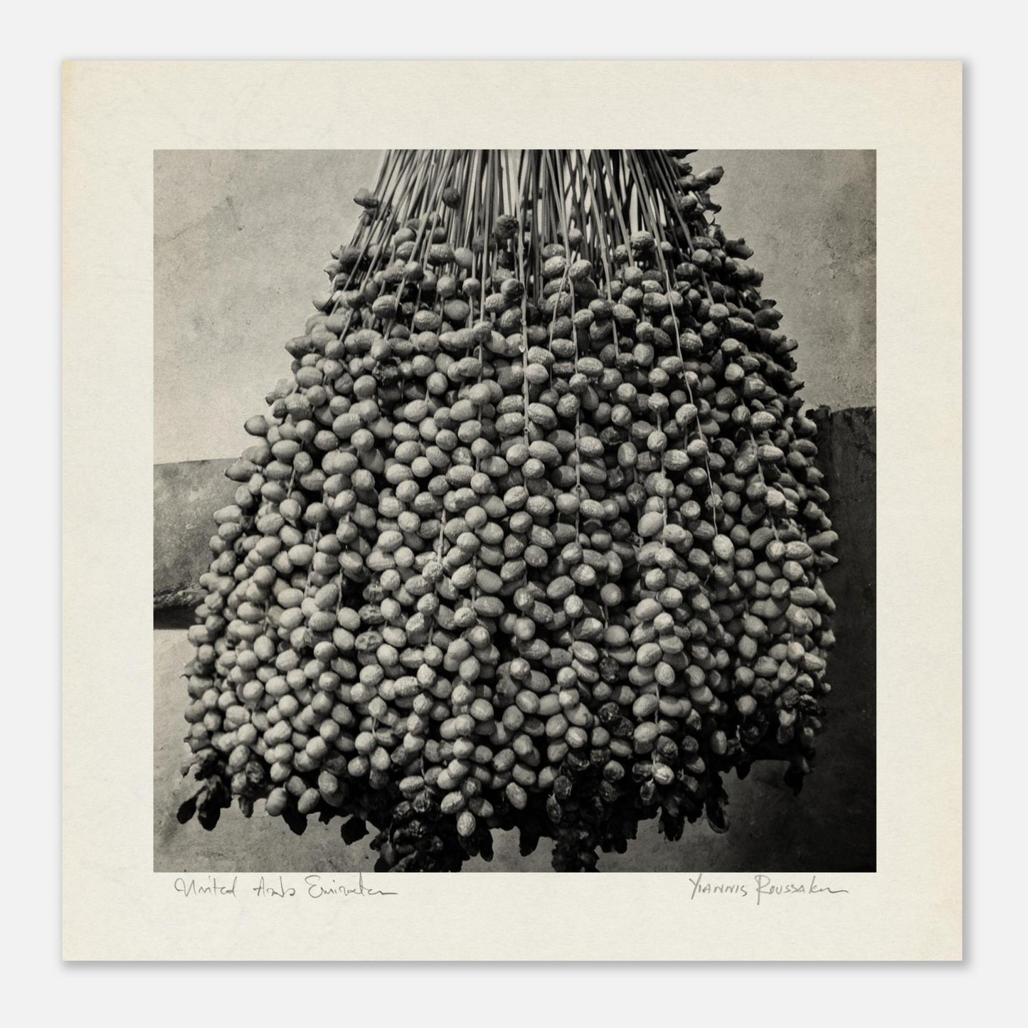 12ecb951-7ce0-4fe3-bad6-7065f80408fa