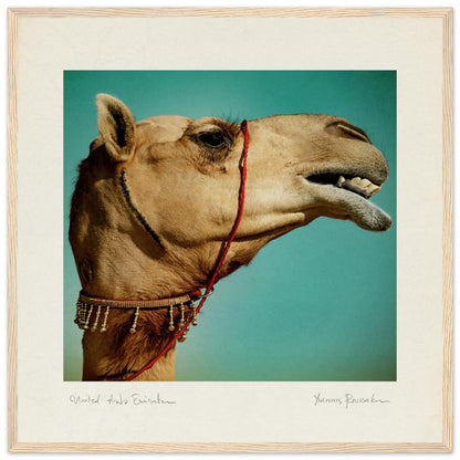 1313c0bc-6df0-4e27-b0a7-206baf98aa37