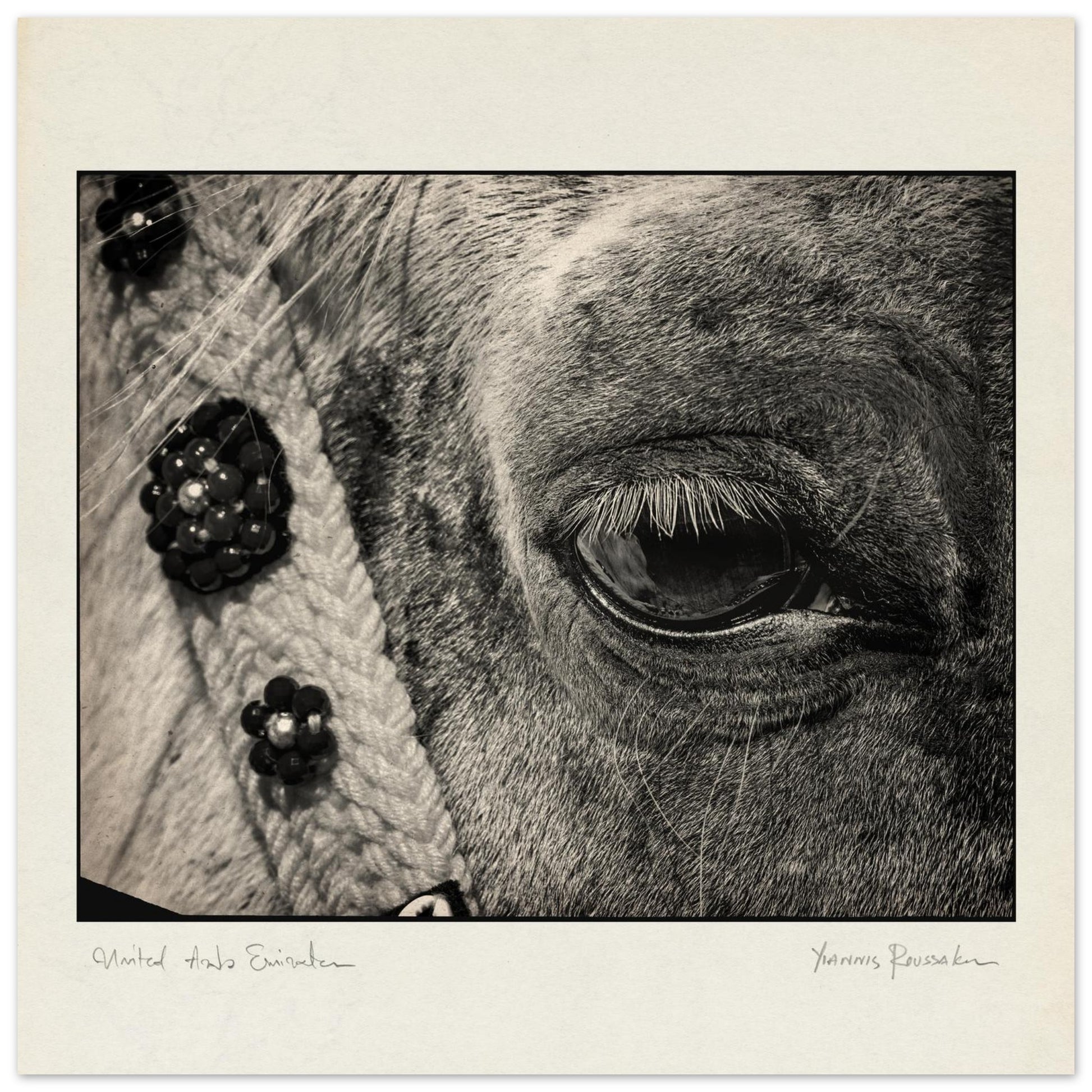 136f6e7b-fb0e-486e-8af7-9feba3242be0