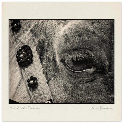 136f6e7b-fb0e-486e-8af7-9feba3242be0