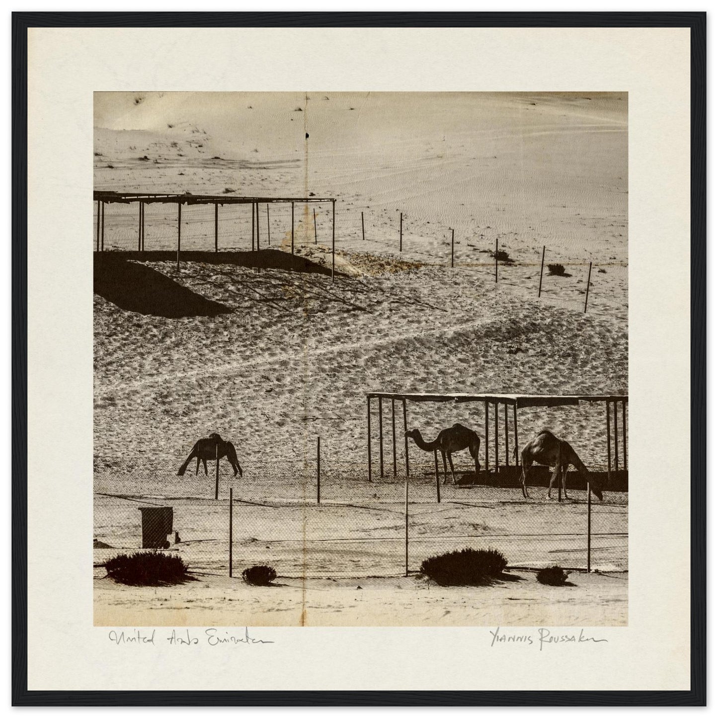 13c17454-caa1-46e7-9e93-905561d46b29