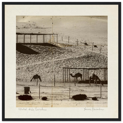 13c17454-caa1-46e7-9e93-905561d46b29