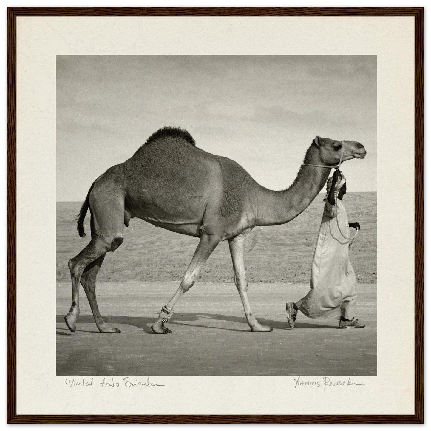 149c8702-f68b-407e-821c-0743e8d6d9a0