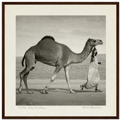 149c8702-f68b-407e-821c-0743e8d6d9a0