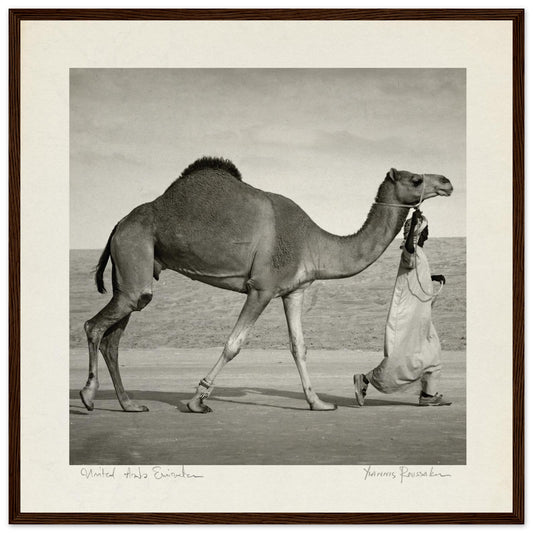 149c8702-f68b-407e-821c-0743e8d6d9a0