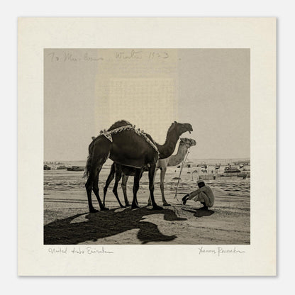 14b7d8a0-e08b-474b-a21e-020b2452ed00