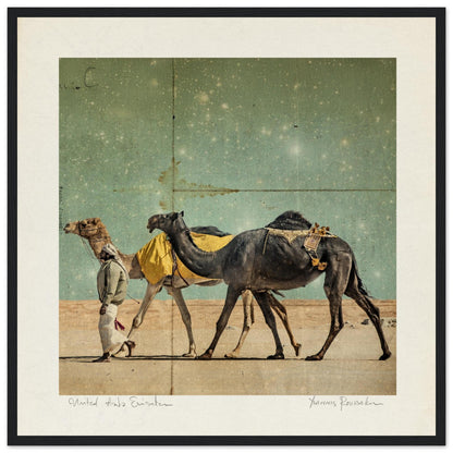 15685287-7b3d-40ca-bac7-f7bc3edf4183