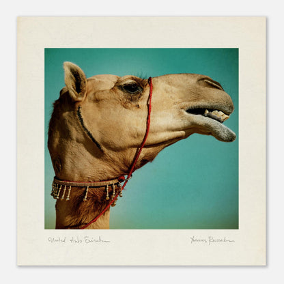 159663ac-5652-4b44-93e8-c5511f8e406a