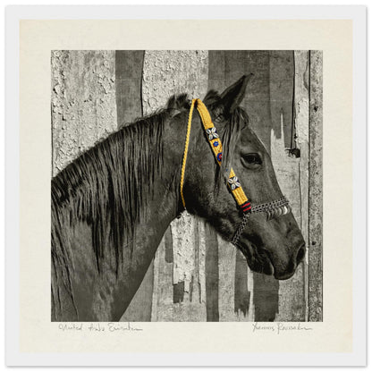 160d24b5-ac34-4efa-a60c-202a1899ae98