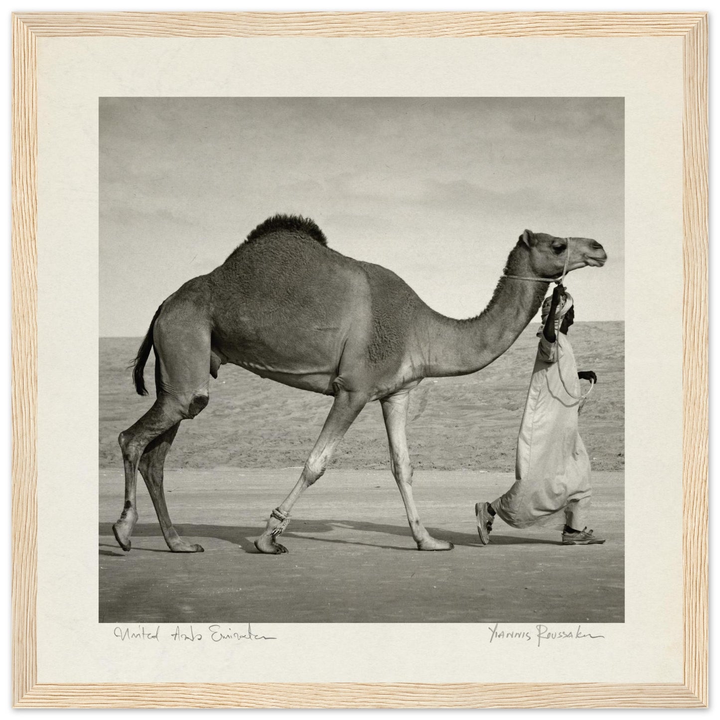 17a911da-c030-4f8a-88d1-ea4336aa38e9