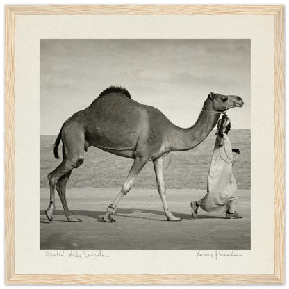 17a911da-c030-4f8a-88d1-ea4336aa38e9