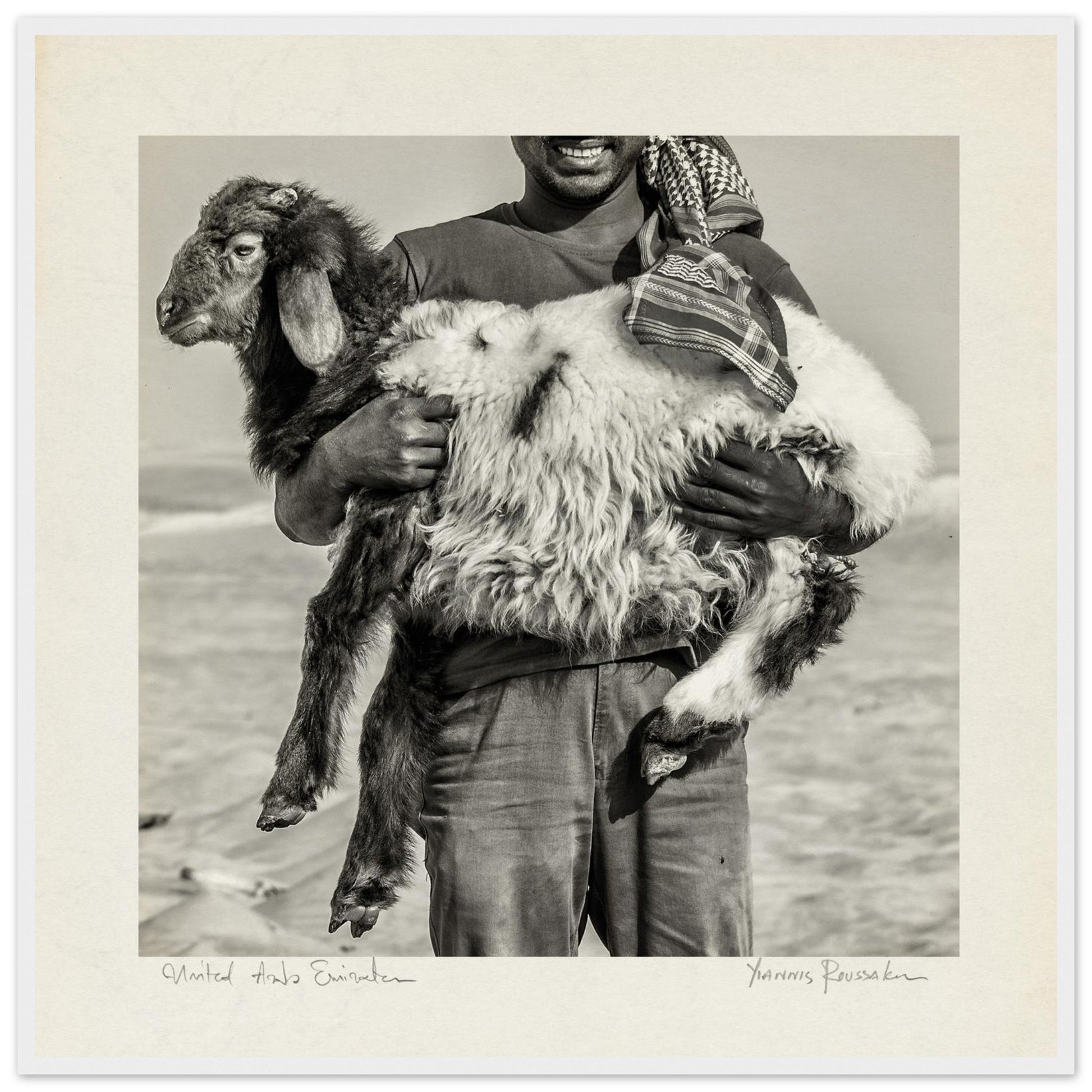 17c93f31-c51a-482f-bf52-d825ce870734