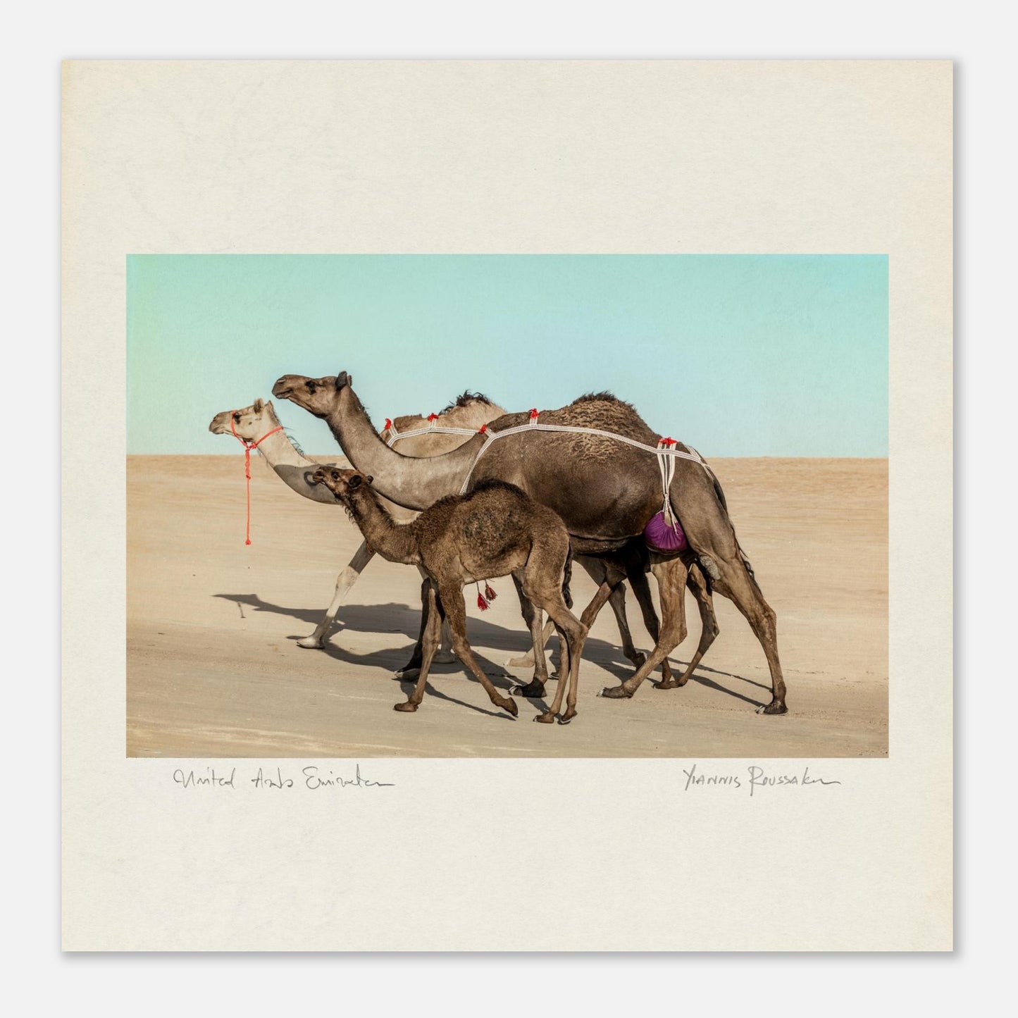 17ecd9d3-0d87-4181-ad3f-a25aeb14f46f