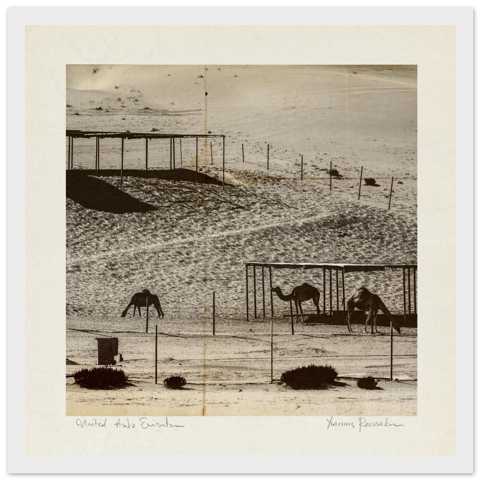 19263d42-0418-4c40-9c95-7c24df7bb8be