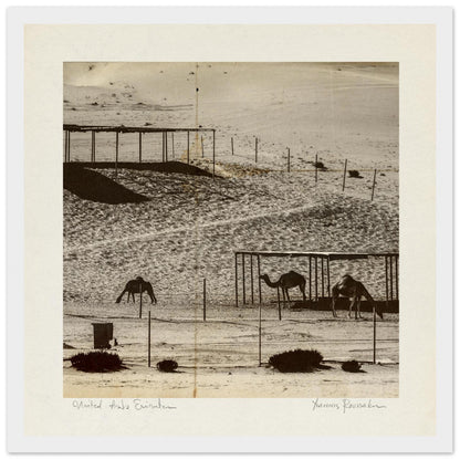 19263d42-0418-4c40-9c95-7c24df7bb8be