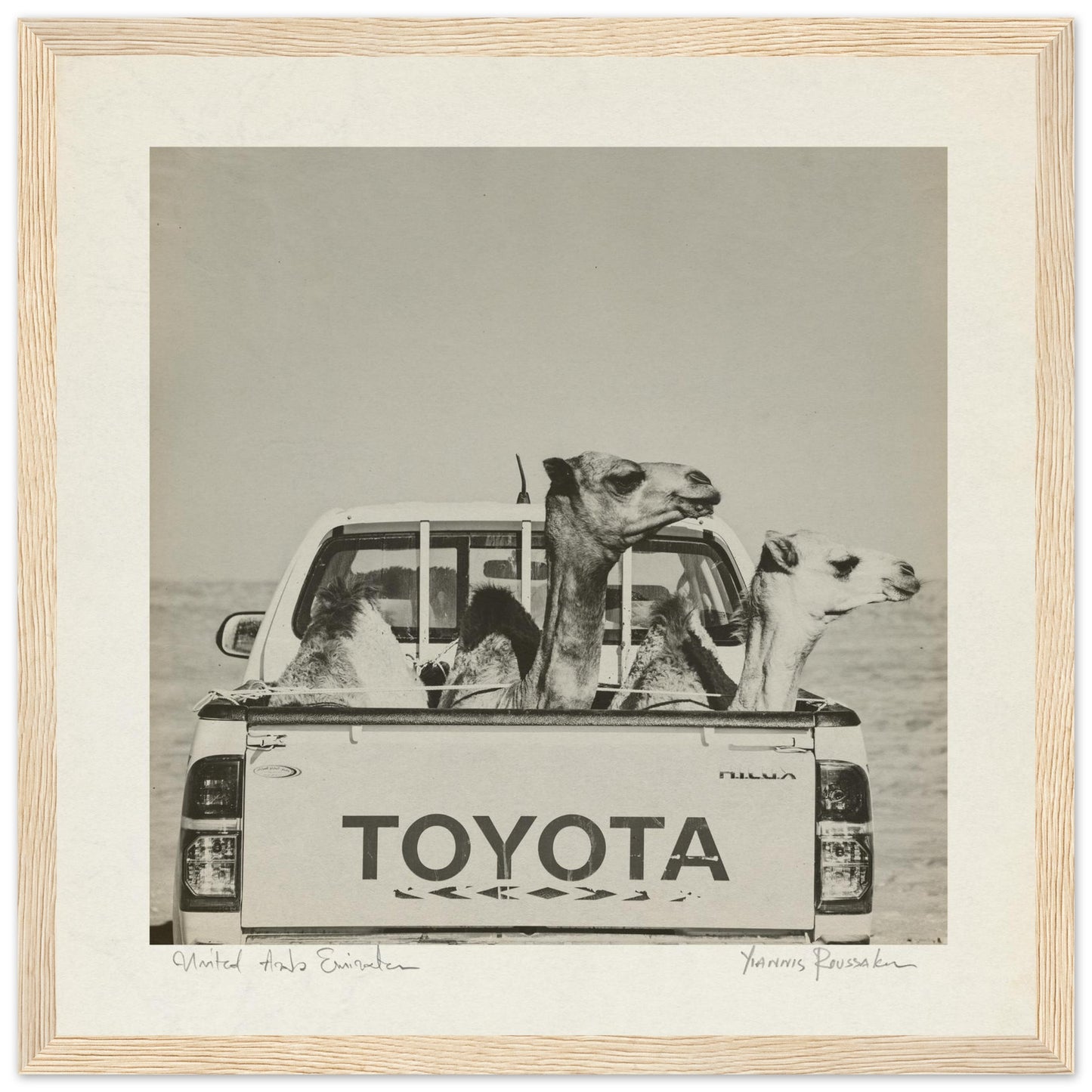 19a7569a-8a8c-483b-92c4-4fad8acf2970