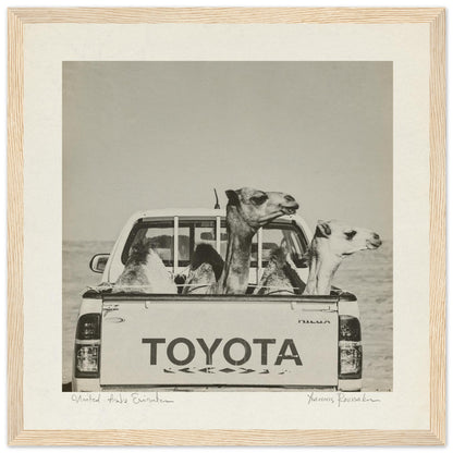 19a7569a-8a8c-483b-92c4-4fad8acf2970