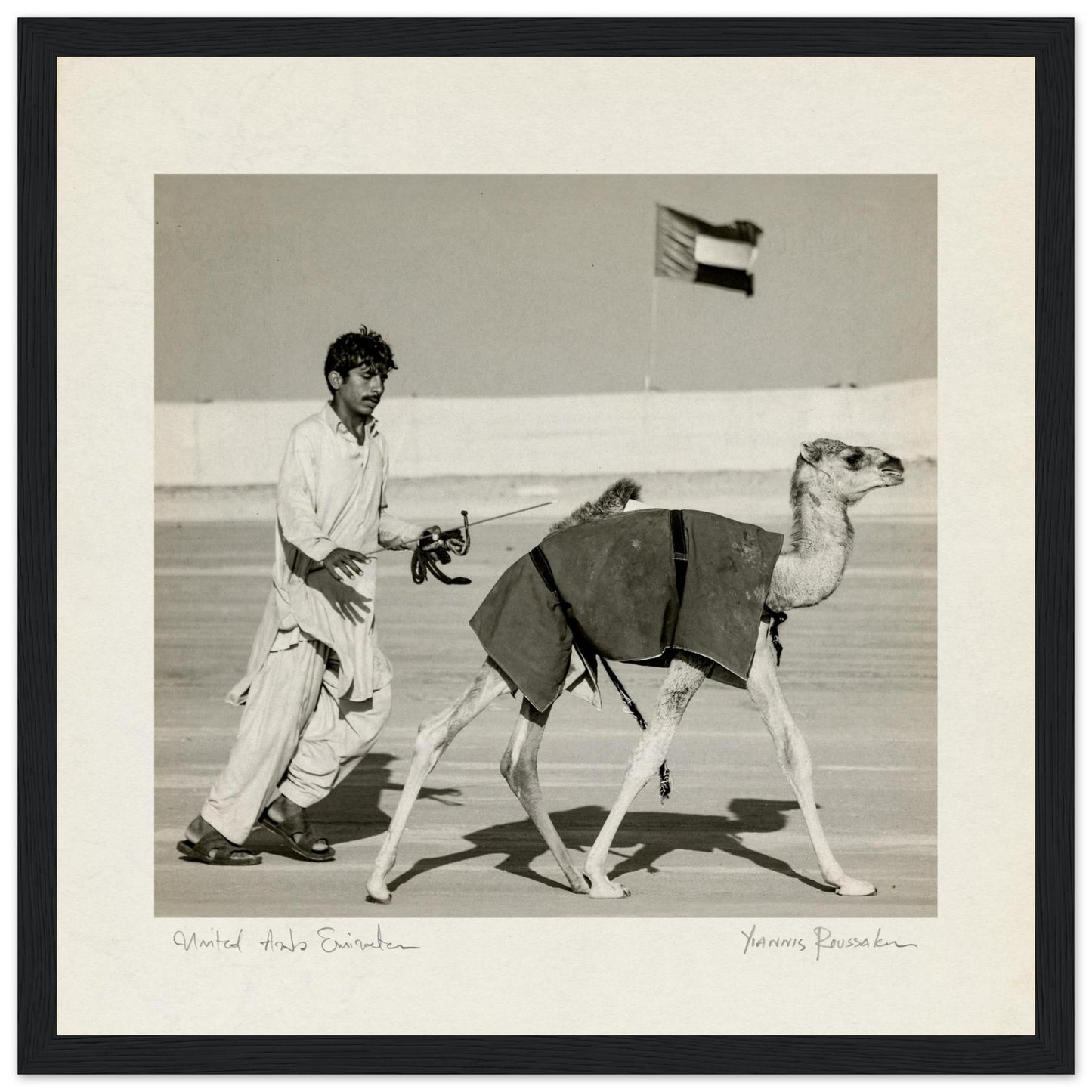 1a6a6958-4b44-4528-807c-a29a3a571262